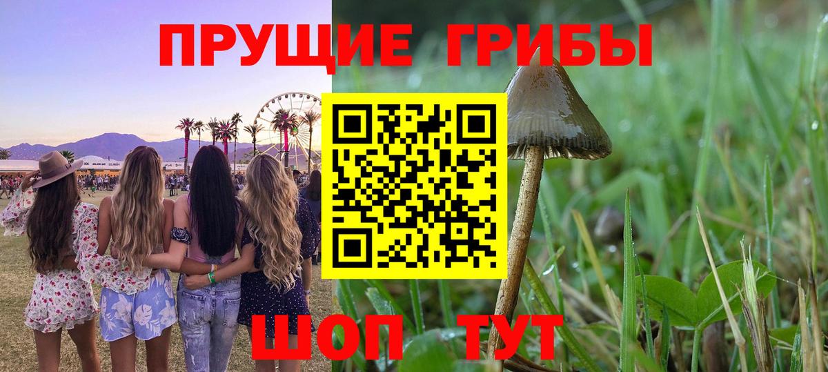Галлюциногенные грибы мицелий Серпухов