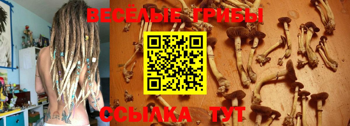 Галлюциногенные грибы прущие грибы  Вход с VPN  Серпухов 